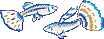 GuppY - http://www.freeguppy.org/